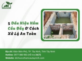 5 Dấu Hiệu Hầm Cầu Đầy & Cách Xử Lý An Toàn