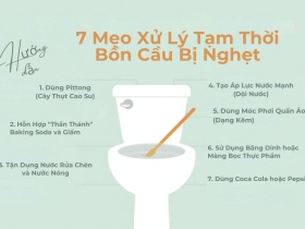 7 Mẹo Thông Tắc Bồn Cầu Tại Nhà Hiệu Quả Bất Ngờ (Áp Dụng Ngay Lập Tức) 7 Mẹo Thông Tắc Bồn Cầu Tại Nhà Hiệu Quả Bất Ngờ (Áp Dụng Ngay Lập Tức)