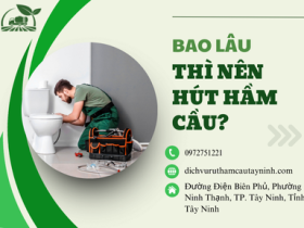 Bao Lâu Thì Nên Hút Hầm Cầu? Hướng Dẫn Xác Định Thời Gian Chính Xác