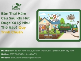 Bùn Thải Hầm Cầu Sau Khi Hút Được Xử Lý Như Thế Nào? Quy Trình Chuẩn