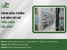Cảnh báo: Chiêu trò dán tờ rơi "Hút hầm cầu 50k"