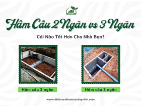 Hầm Cầu 2 Ngăn vs 3 Ngăn - Cái Nào Tốt Hơn Cho Nhà Bạn?