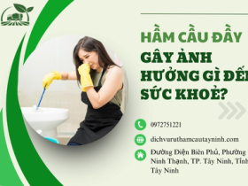 Hầm Cầu Đầy Gây Ảnh Hưởng Gì Đến Sức Khỏe Và Môi Trường?