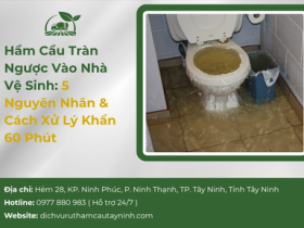 Hầm Cầu Tràn Ngược Vào Nhà Vệ Sinh: 5 Nguyên Nhân & Cách Xử Lý Khẩn 60 Phút