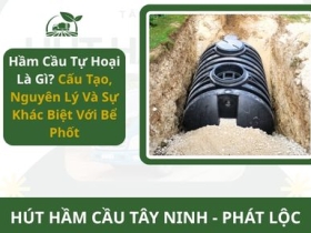 Hầm Cầu Tự Hoại Là Gì? Cấu Tạo, Nguyên Lý Và Sự Khác Biệt Với Bể Phốt