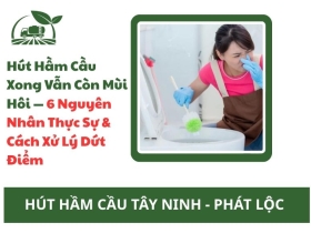 Hút Hầm Cầu Xong Vẫn Còn Mùi Hôi — 6 Nguyên Nhân Thực Sự & Cách Xử Lý Dứt Điểm