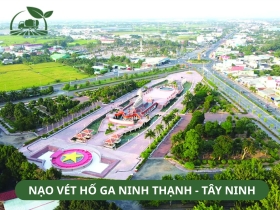 Nạo Vét Hố Ga Phường Ninh Thạnh, Tây Ninh – Phát Lộc