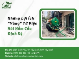 Những Lợi Ích "Vàng" Từ Việc Hút Hầm Cầu Định Kỳ