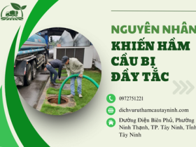 Những Nguyên Nhân Khiến Hầm Cầu Bị Đầy Và Cách Phòng Tránh Hiệu Quả