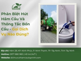 Phân Biệt Hút Hầm Cầu Và Thông Tắc Bồn Cầu - Gọi Dịch Vụ Nào Đúng?