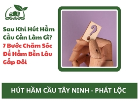 Sau Khi Hút Hầm Cầu Cần Làm Gì? — 7 Bước Chăm Sóc Để Hầm Bền Lâu Gấp Đôi