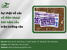 Sự thật về các số điện thoại hút hầm cầu trên tường rào