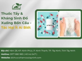 Thuốc Tẩy & Kháng Sinh Đổ Xuống Bồn Cầu — Tác Hại Ít Ai Biết