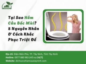 Tại Sao Hầm Cầu Bốc Mùi? 8 Nguyên Nhân & Cách Khắc Phục Triệt Để