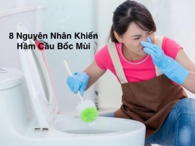 Tại Sao Hầm Cầu Bốc Mùi? - 8 Nguyên Nhân & Cách Khắc Phục Triệt Để