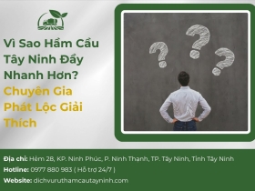 Vì Sao Hầm Cầu Tây Ninh Đầy Nhanh Hơn? Chuyên Gia Phát Lộc Giải Thích