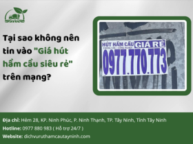 Tại sao không nên tin vào "Giá hút hầm cầu siêu rẻ" trên mạng?