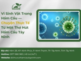 Vi Sinh Vật Trong Hầm Cầu — Chuyện Thực Tế Từ Một Thợ Hút Hầm Cầu Tây Ninh