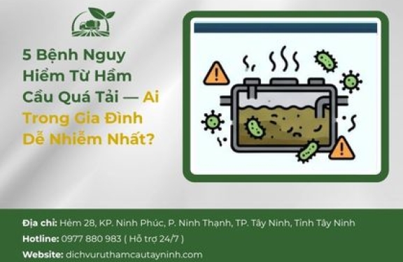 5 Bệnh Nguy Hiểm Từ Hầm Cầu Quá Tải — Ai Trong Gia Đình Dễ Nhiễm Nhất?