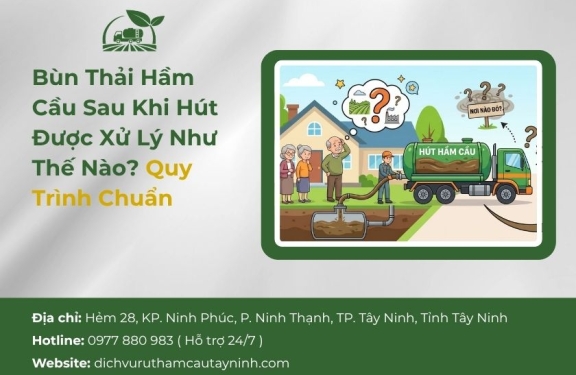 Bùn Thải Hầm Cầu Sau Khi Hút Được Xử Lý Như Thế Nào? Quy Trình Chuẩn