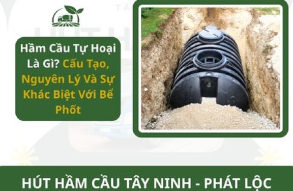 Hầm Cầu Tự Hoại Là Gì? Cấu Tạo, Nguyên Lý Và Sự Khác Biệt Với Bể Phốt
