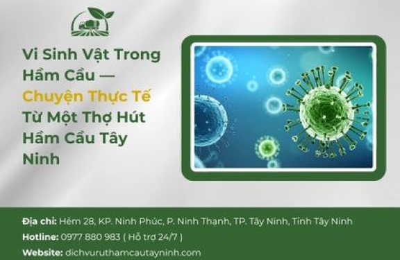 Vi Sinh Vật Trong Hầm Cầu — Chuyện Thực Tế Từ Một Thợ Hút Hầm Cầu Tây Ninh
