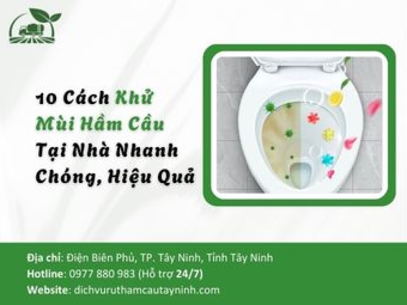 10 Cách Khử Mùi Hầm Cầu Tại Nhà Nhanh Chóng, Hiệu Quả