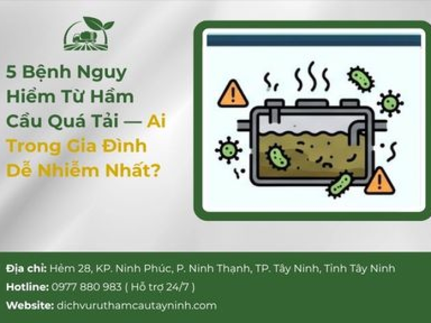5 Bệnh Nguy Hiểm Từ Hầm Cầu Quá Tải — Ai Trong Gia Đình Dễ Nhiễm Nhất?