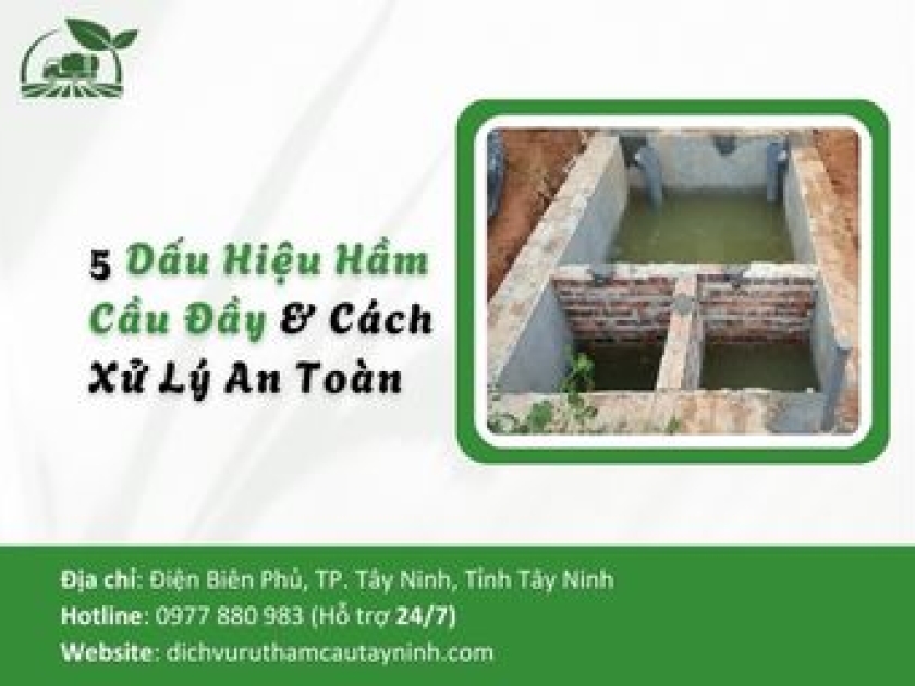 5 Dấu Hiệu Hầm Cầu Đầy & Cách Xử Lý An Toàn