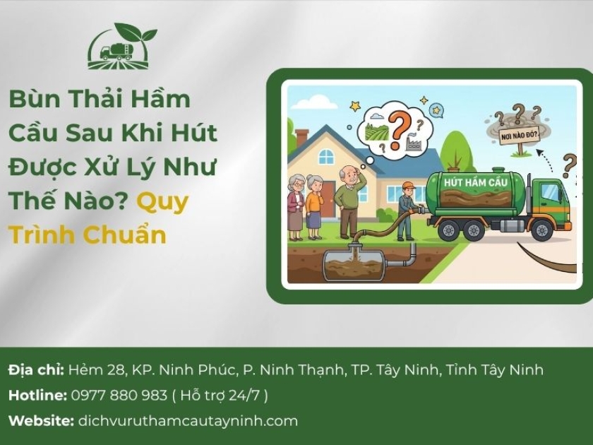 Bùn Thải Hầm Cầu Sau Khi Hút Được Xử Lý Như Thế Nào? Quy Trình Chuẩn