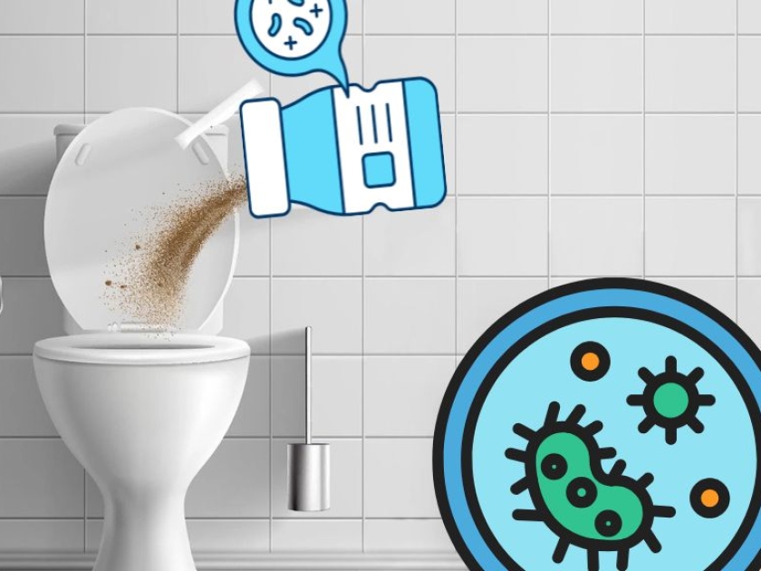 Hướng Dẫn Cách Sử Dụng Men Vi Sinh Cho Bể Phốt Đúng Kỹ Thuật Hướng Dẫn Cách Sử Dụng Men Vi Sinh Cho Bể Phốt Đúng Kỹ Thuật