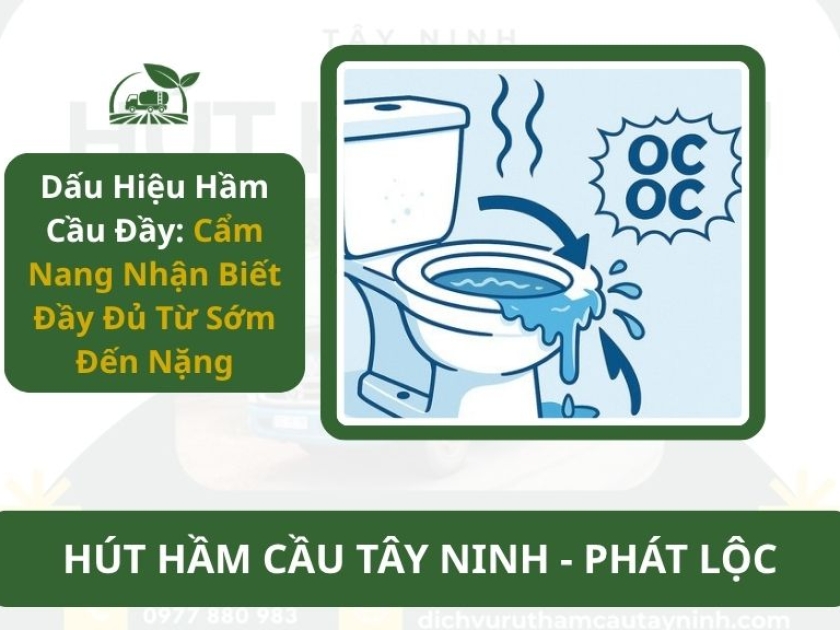 Dấu Hiệu Hầm Cầu Đầy: Cẩm Nang Nhận Biết Đầy Đủ Từ Sớm Đến Nặng