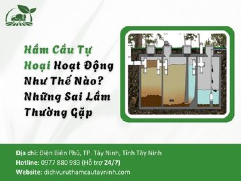 Hầm Cầu Tự Hoại Hoạt Động Như Thế Nào? Những Sai Lầm Thường Gặp