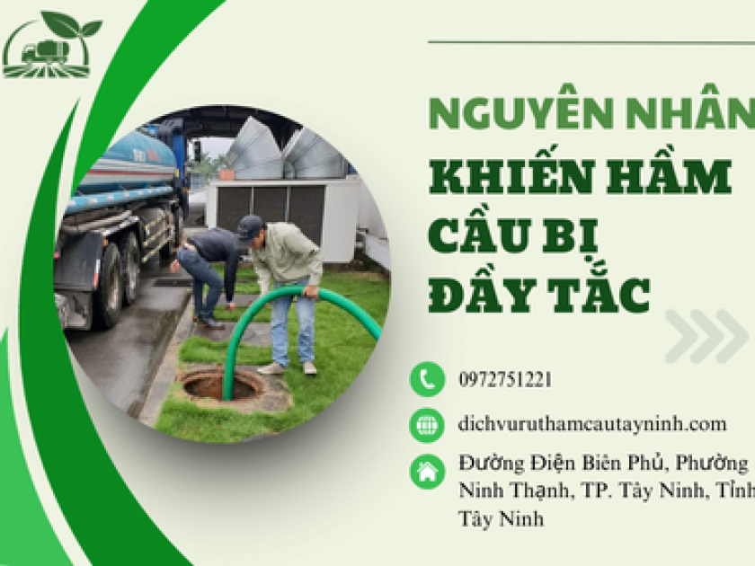 Những Nguyên Nhân Khiến Hầm Cầu Bị Đầy Và Cách Phòng Tránh Hiệu Quả Những Nguyên Nhân Khiến Hầm Cầu Bị Đầy Và Cách Phòng Tránh Hiệu Quả