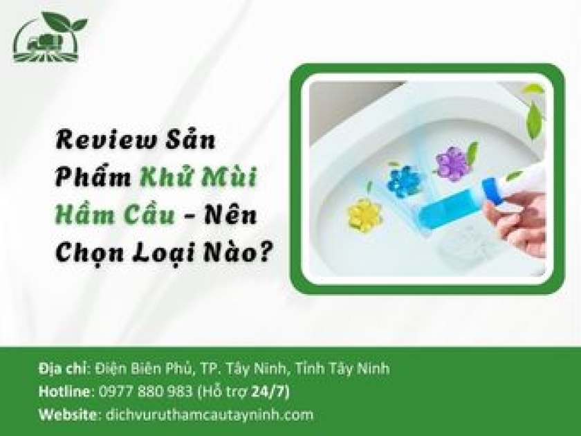 Review Sản Phẩm Khử Mùi Hầm Cầu - Nên Chọn Loại Nào?