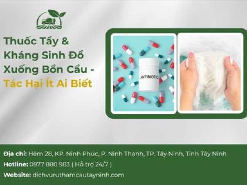 Thuốc Tẩy & Kháng Sinh Đổ Xuống Bồn Cầu — Tác Hại Ít Ai Biết