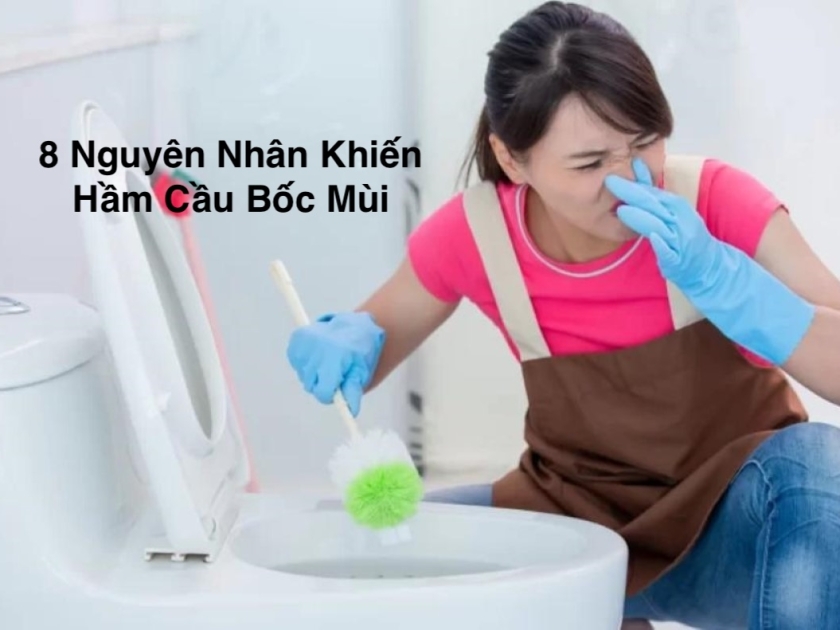 Tại Sao Hầm Cầu Bốc Mùi? - 8 Nguyên Nhân & Cách Khắc Phục Triệt Để