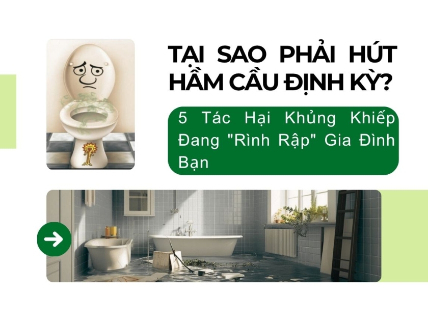 Tại Sao Phải Hút Hầm Cầu Định Kỳ? 5 Tác Hại Khủng Khiếp Đang Rình Rập Gia Đình Bạn Tại Sao Phải Hút Hầm Cầu Định Kỳ? 5 Tác Hại Khủng Khiếp Đang Rình Rập Gia Đình Bạn