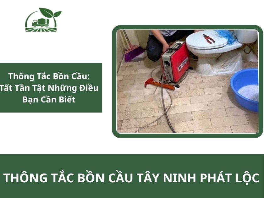 Thông Tắc Bồn Cầu: Nguyên Nhân, Dấu Hiệu Và Cách Xử Lý 