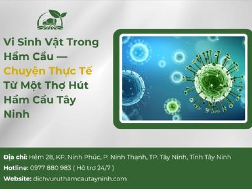 Vi Sinh Vật Trong Hầm Cầu — Chuyện Thực Tế Từ Một Thợ Hút Hầm Cầu Tây Ninh