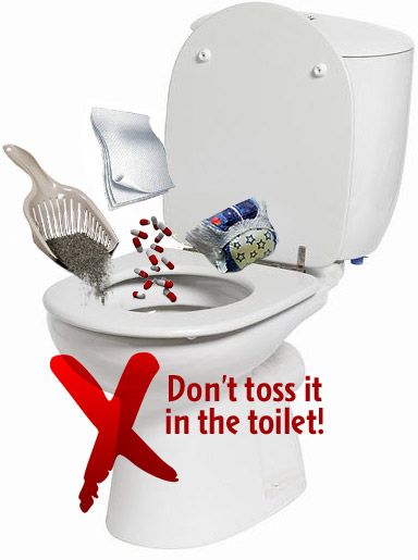 Cấm vứt các vật dụng này vào bồn cầu