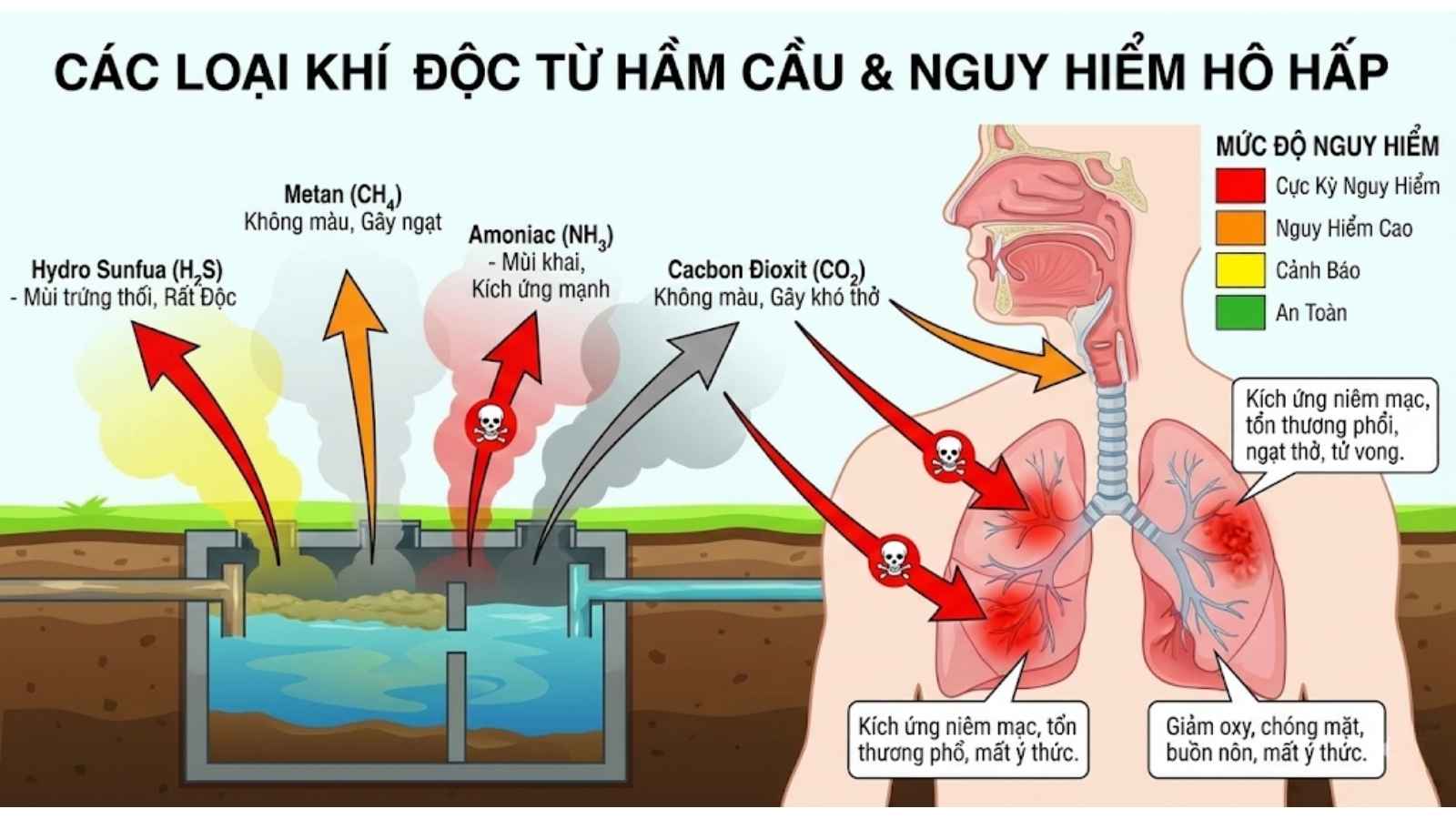 Ngộ Độc Khí Độc