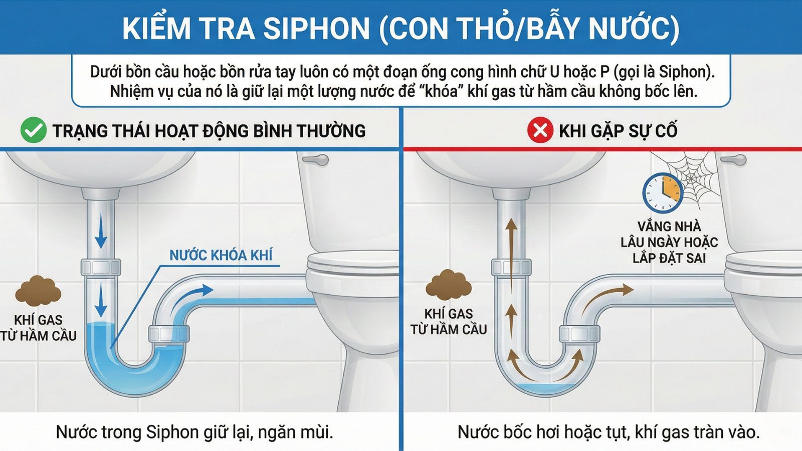 Kiểm Tra Siphon (Con Thỏ/Bẫy Nước)