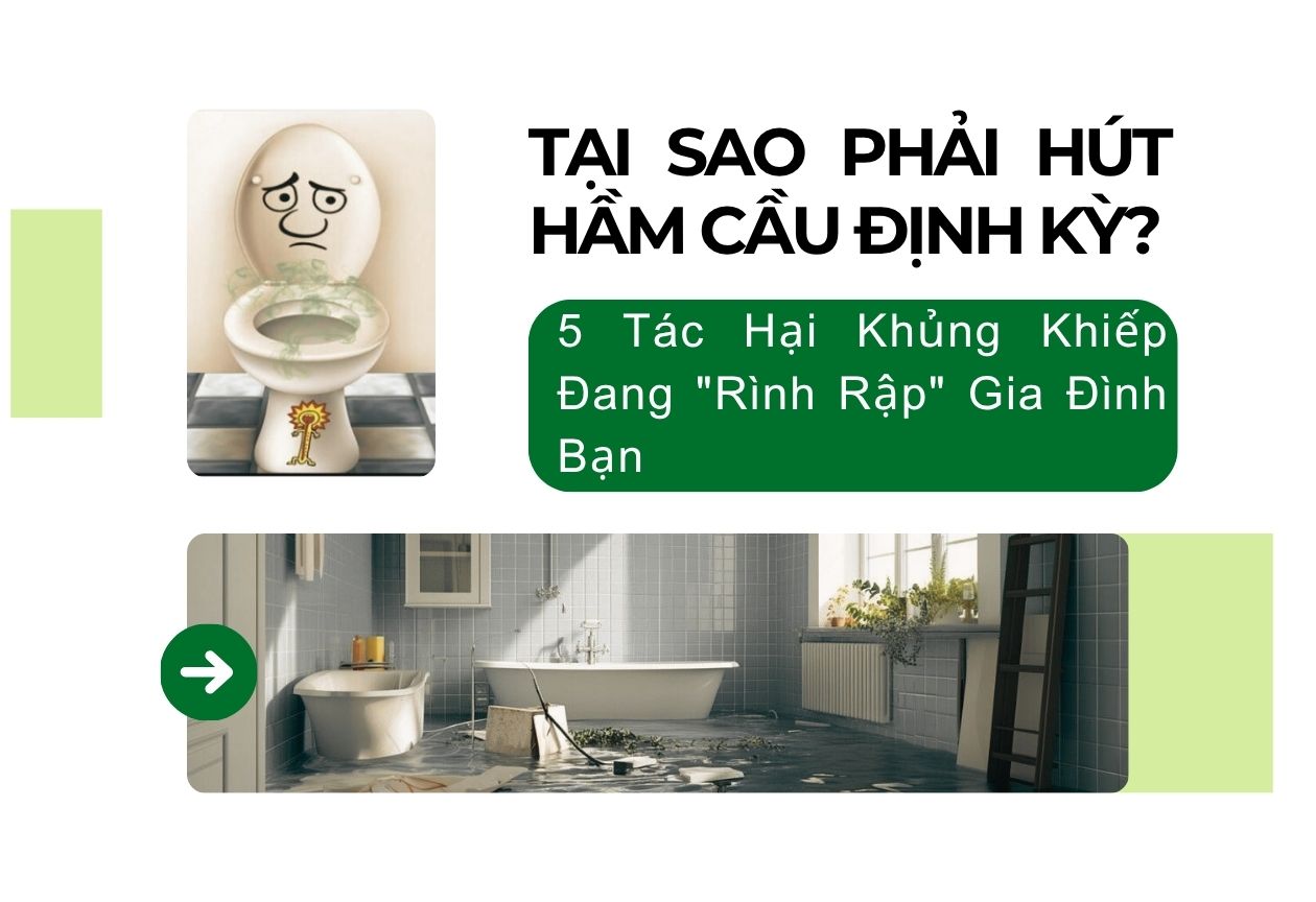 Tại Sao Phải Hút Hầm Cầu Định Kỳ