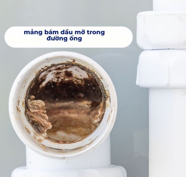 mảng bám dầu mỡ trong đường ống