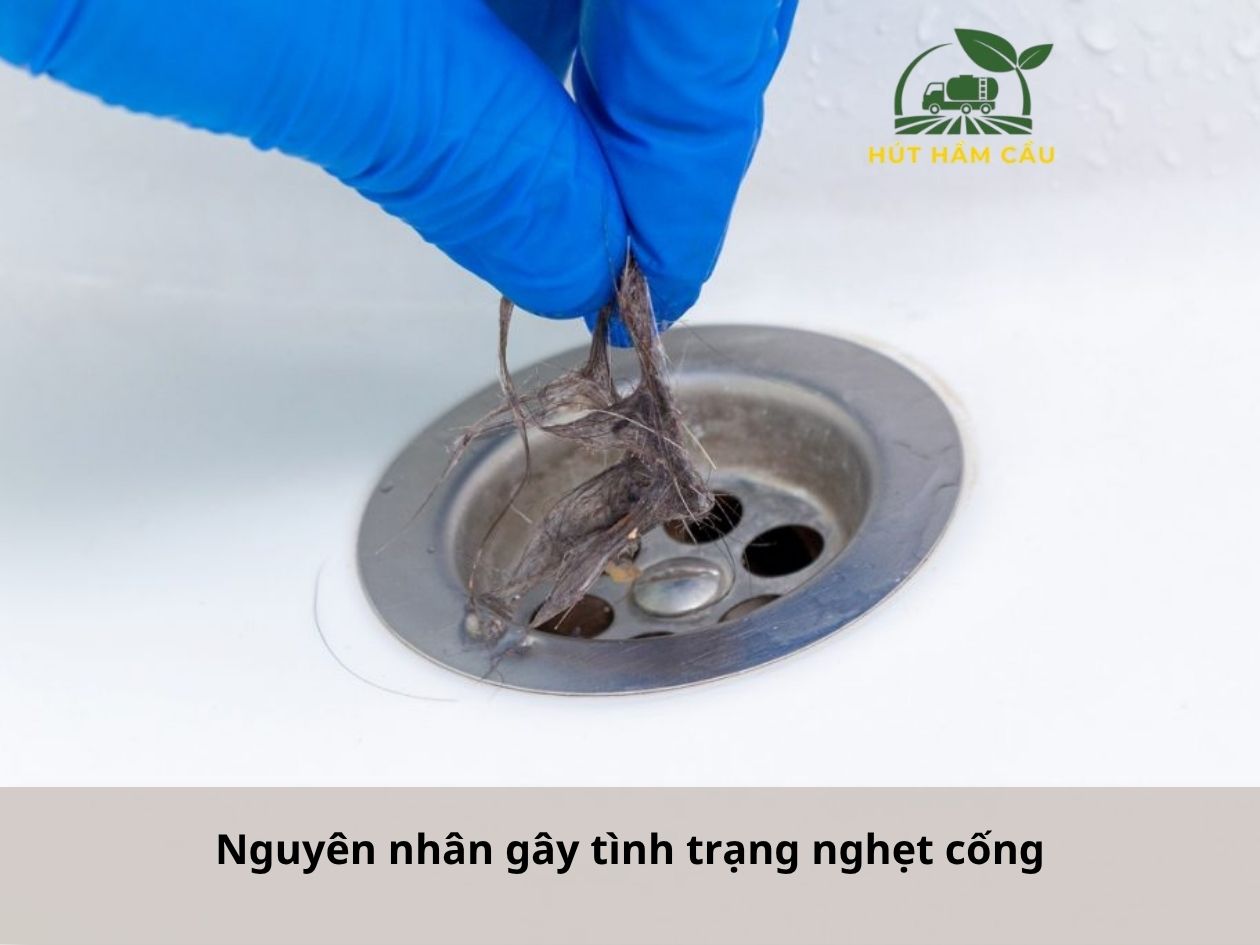 nguyên nhân gây nghẹt cống