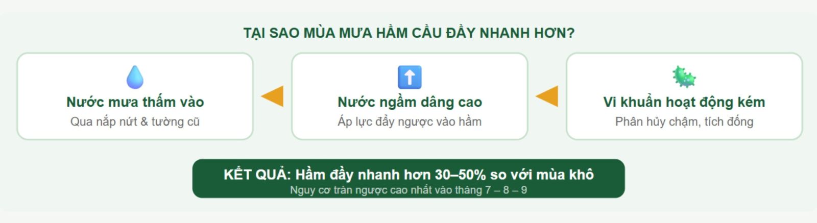 Tại sao mua mưa hầm cầu đầy nhanh?