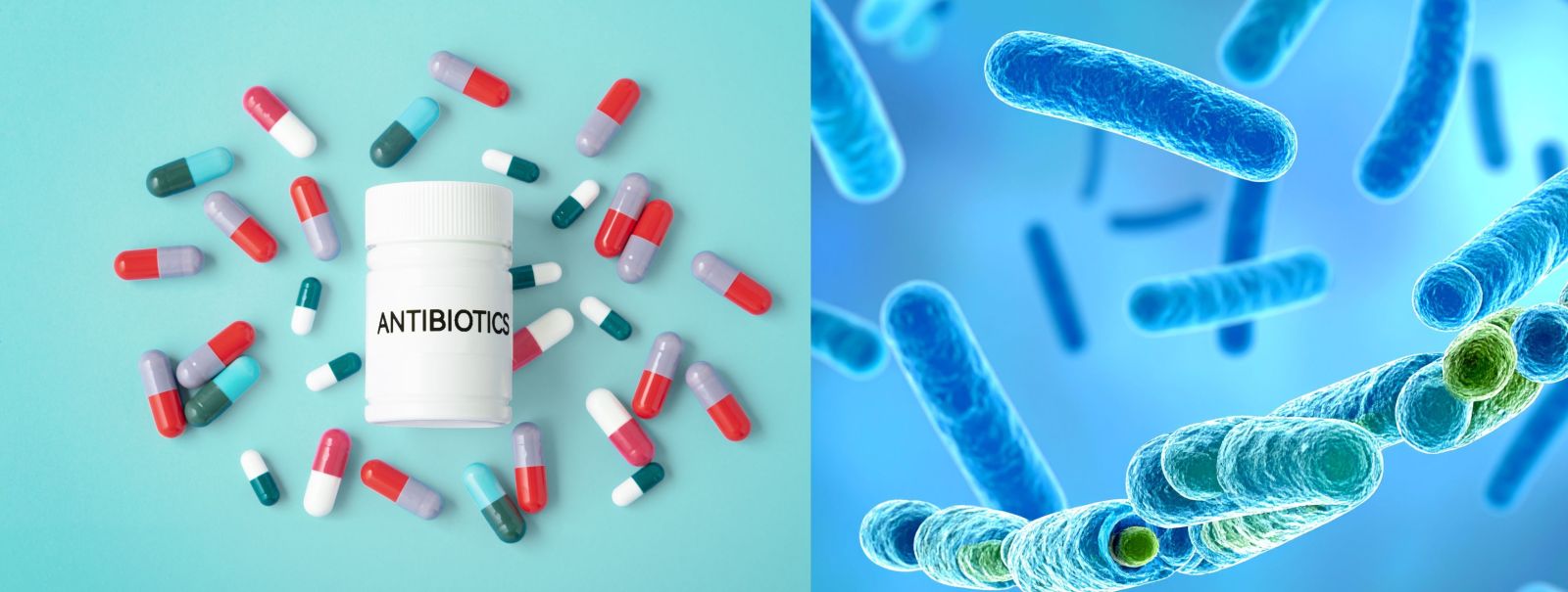 Thuốc kháng sinh